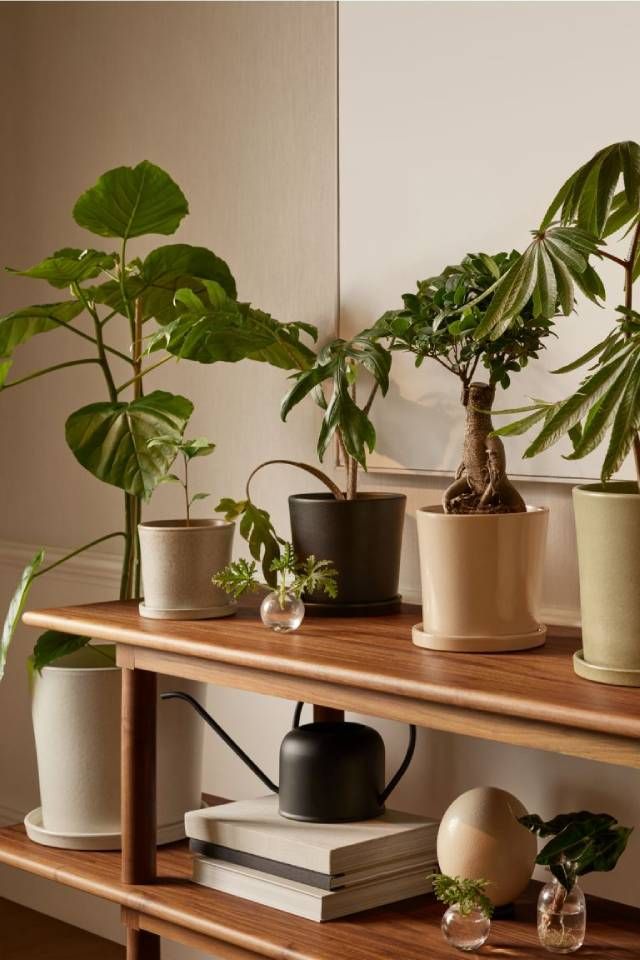 macetas h&m home 1