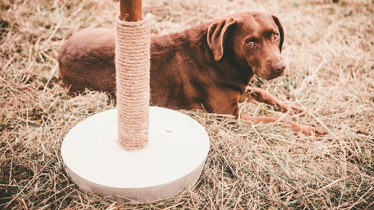Como hacer una base de hormigon para sombrilla de jardin paso 8
