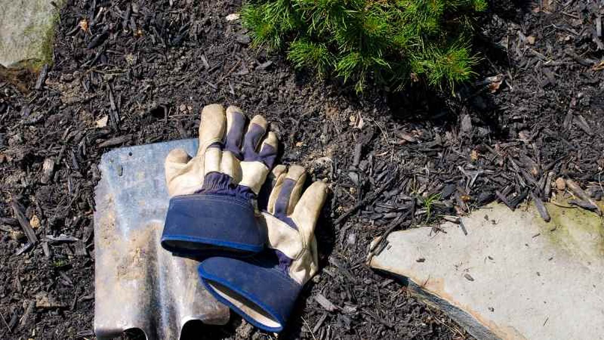 Hacer tu propio mulch o acolchado es muy sencillo