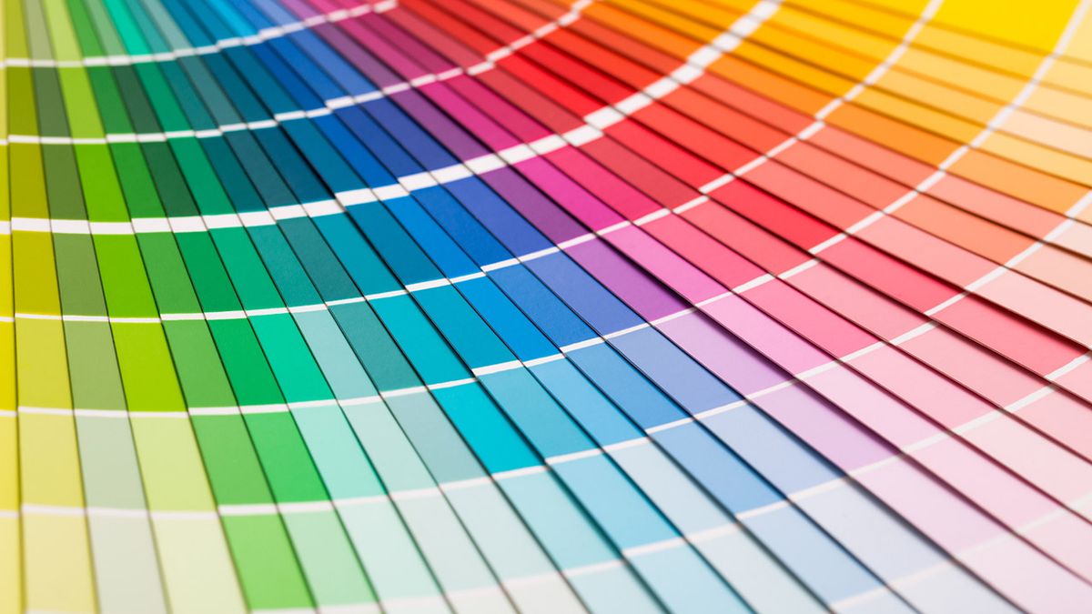 color block paleta colores