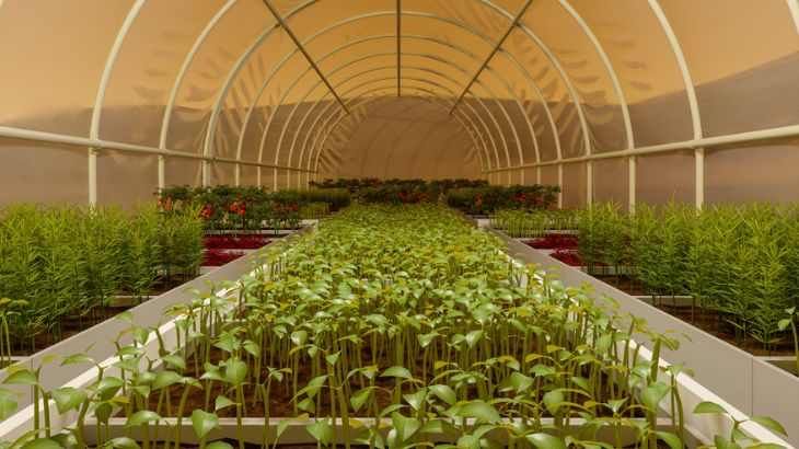 Agricultura de invernadero en el planeta Marte
