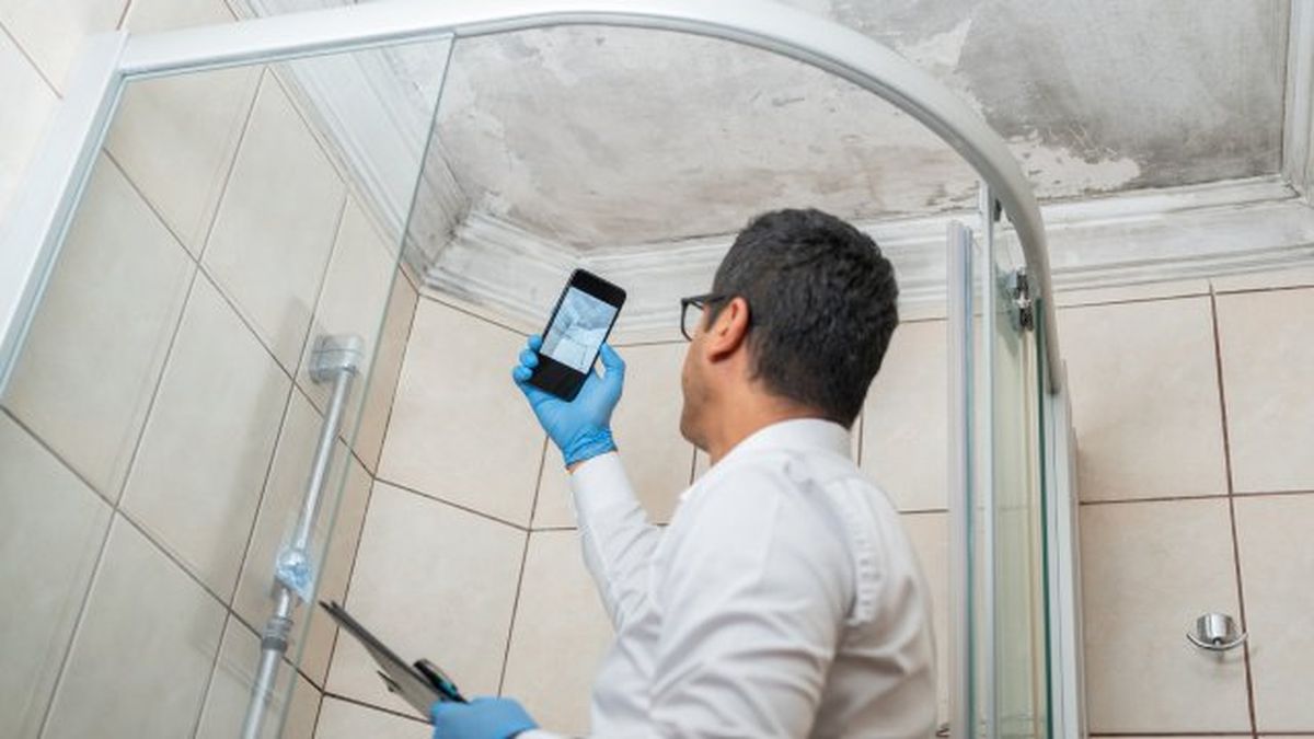 guia para secar paredes mojadas y humedas