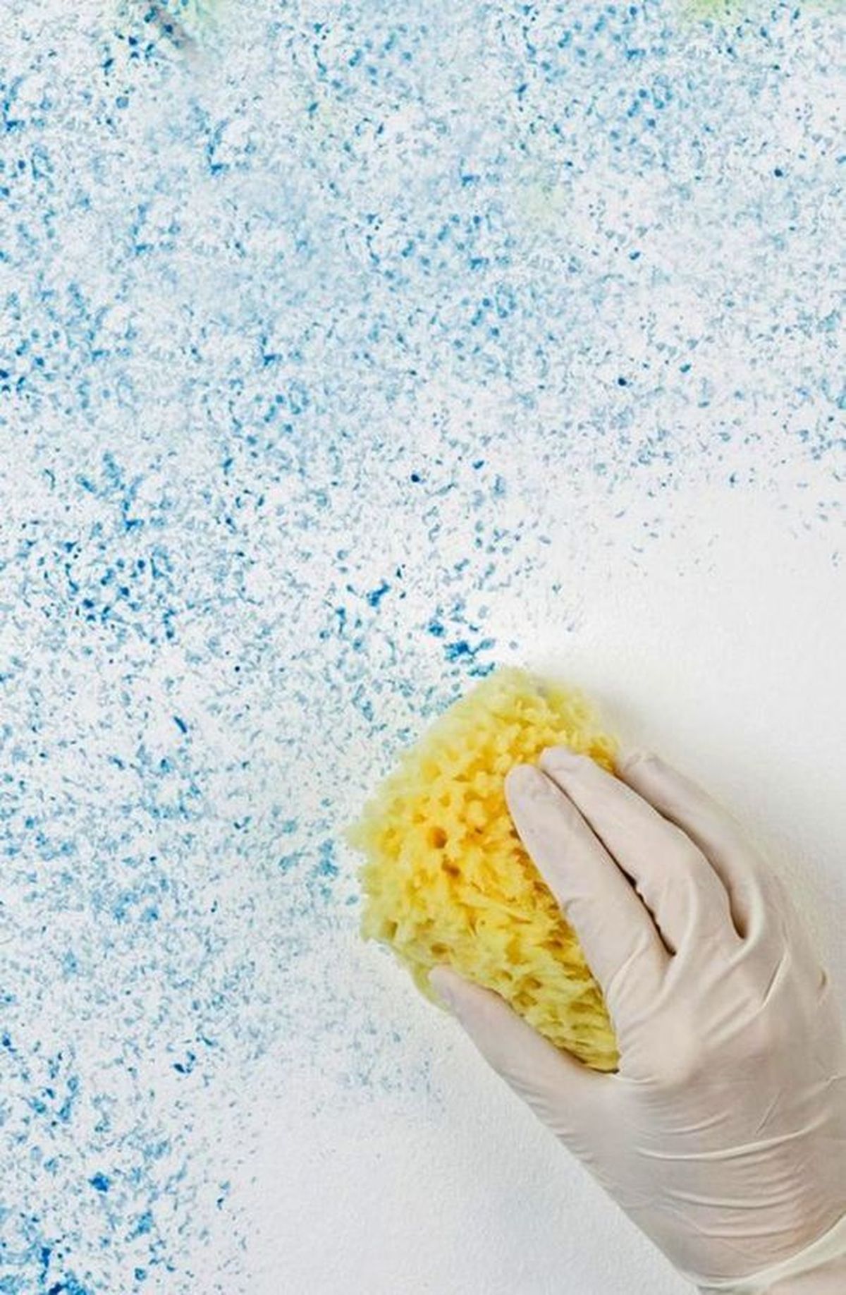 pintar pared esponja natural