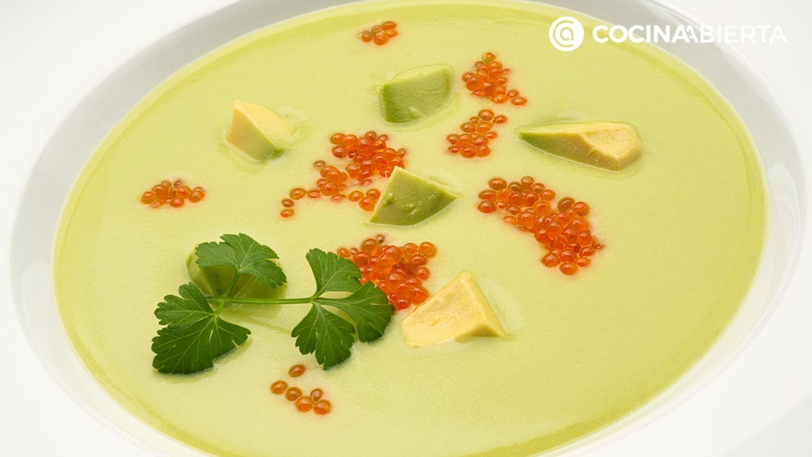 karl6723 sopa aguacate xl