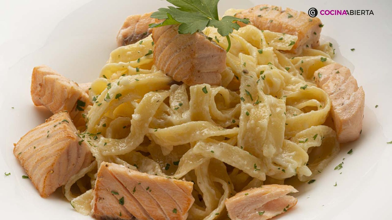 KARL6877 fettuccini alfredo xl