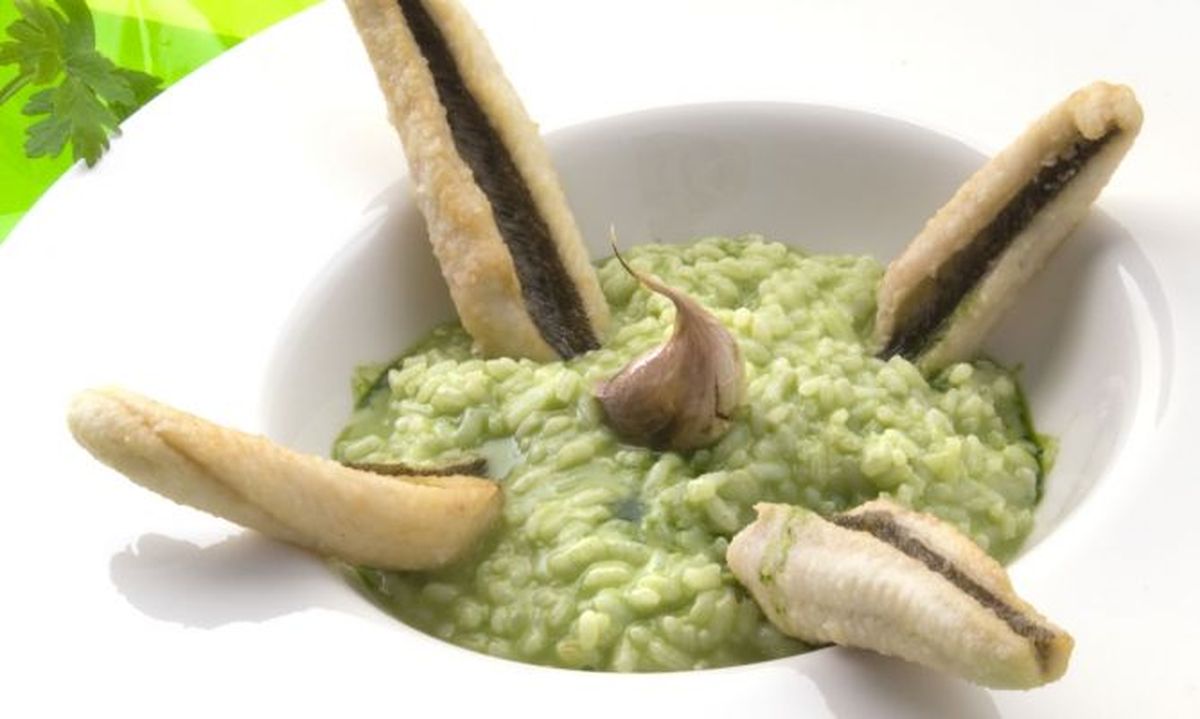 849 filetes de salvera con arroz verde xl 668x400x80xX