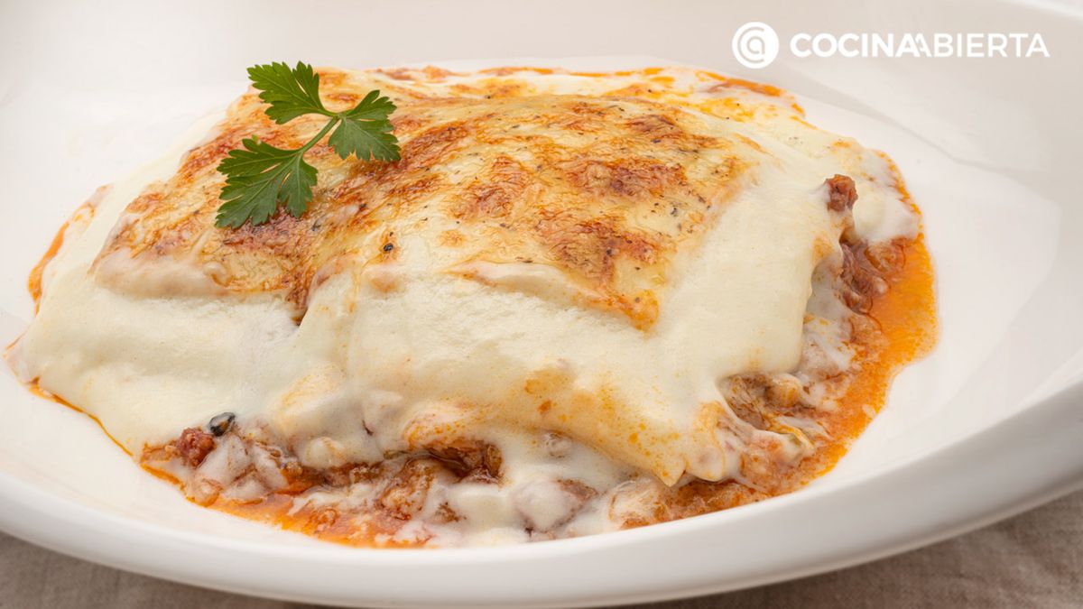 karl6728 lasana bolonesa xl