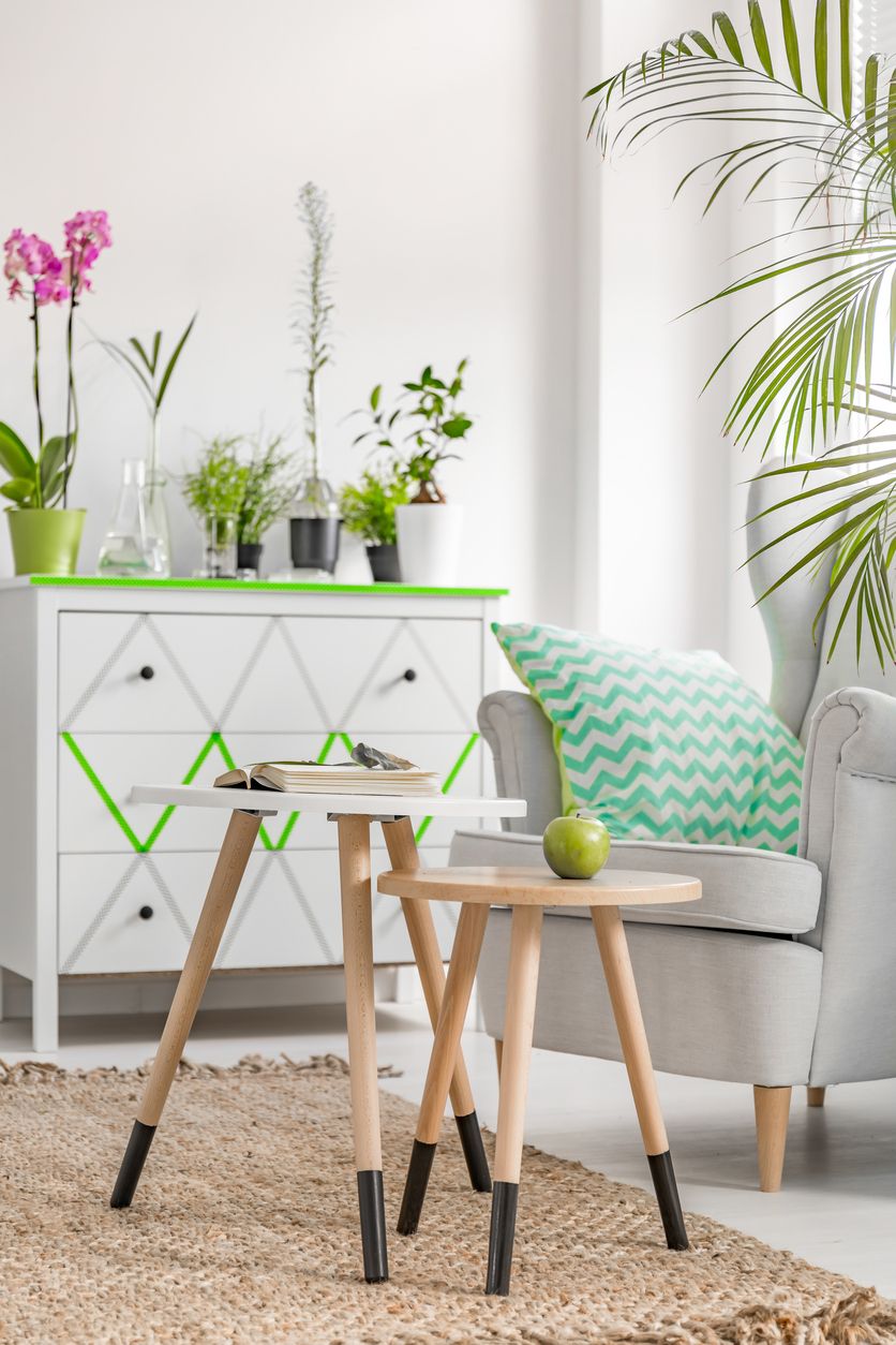plantas=decoracion2