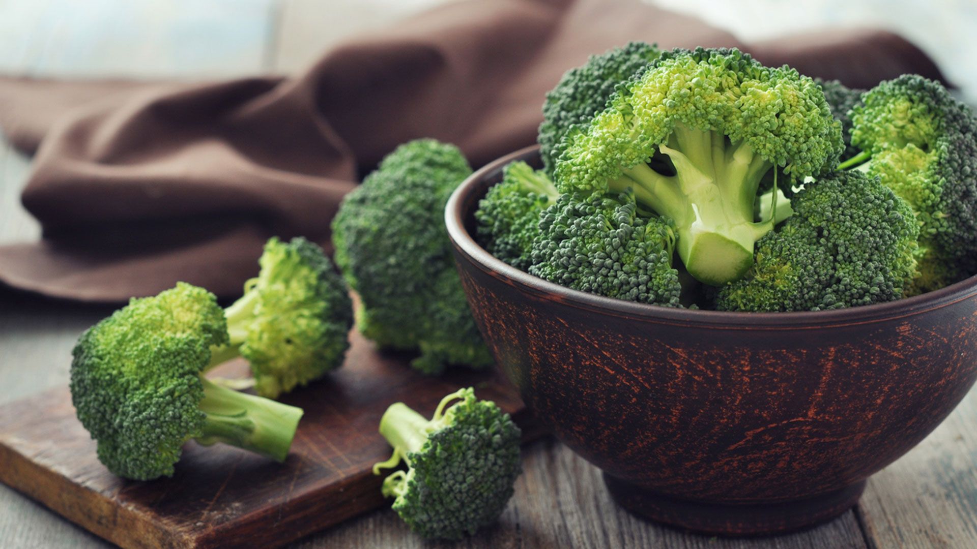 brocoli xl