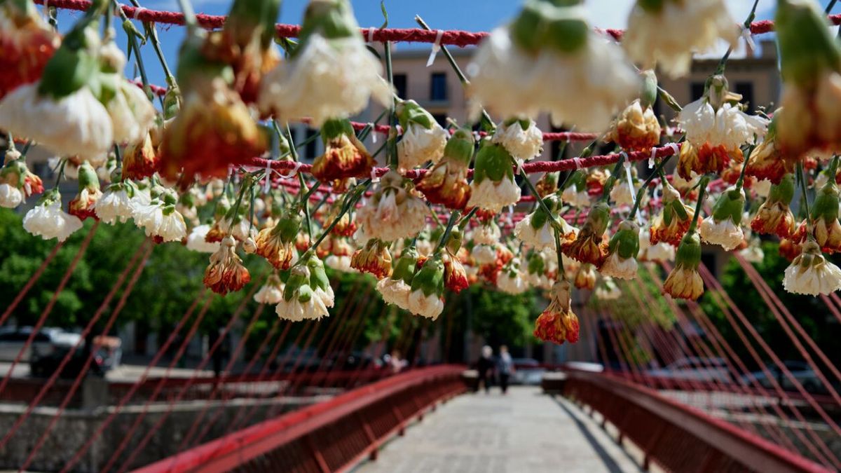 Flores en el Temps de flors