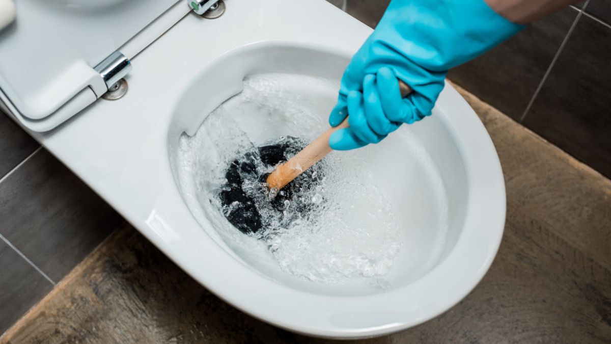 como desatascar un bano 1