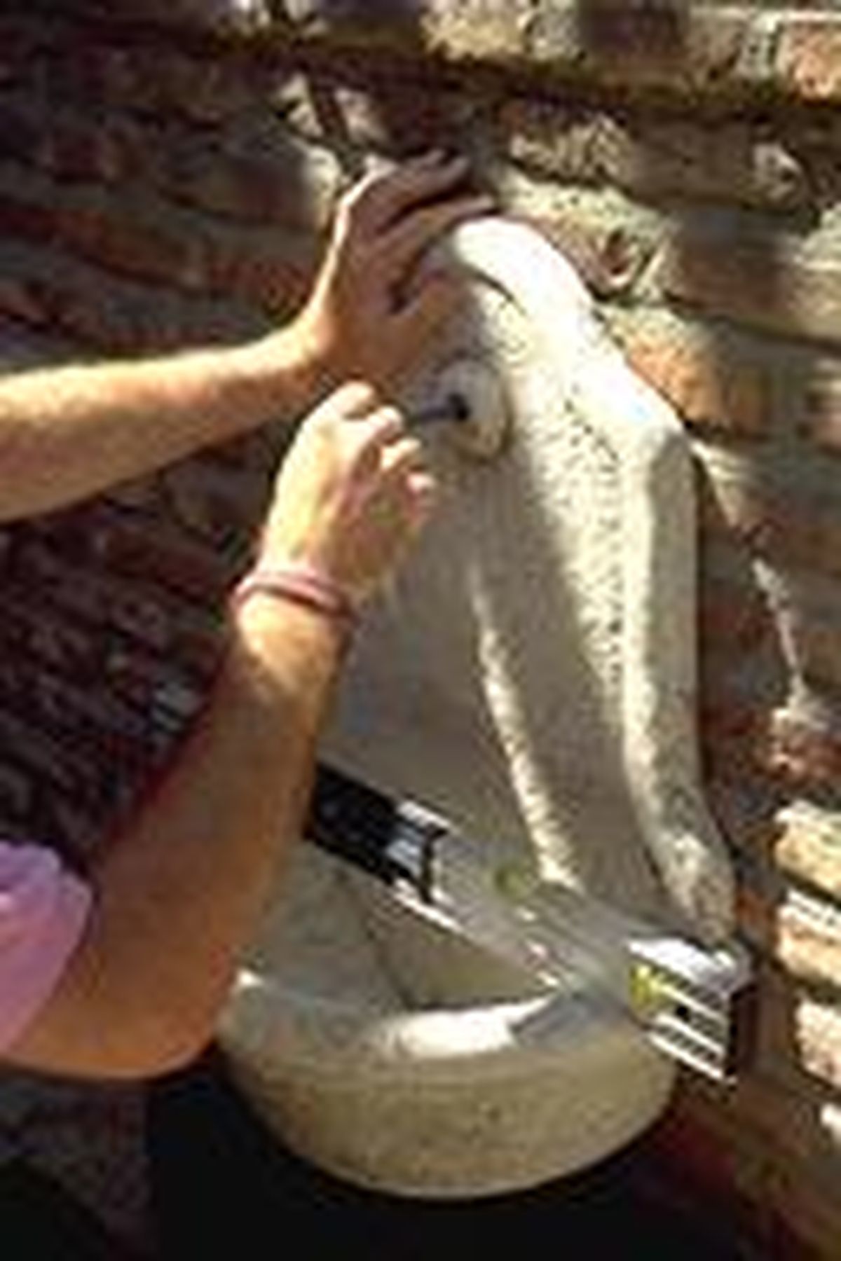 Fuente de piedra artificial paso 2