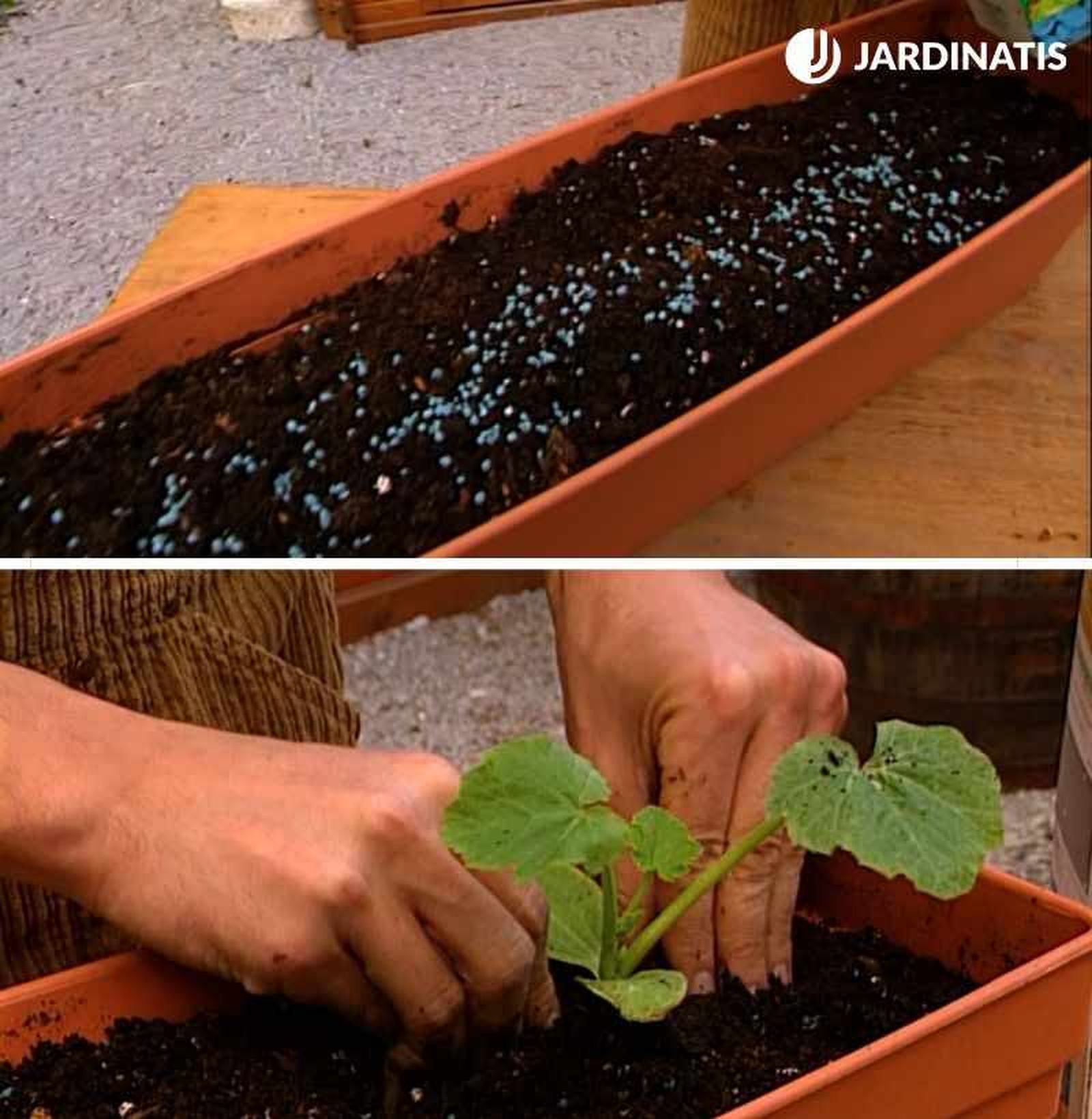 Abona el sustrato como paso previo a la plantación