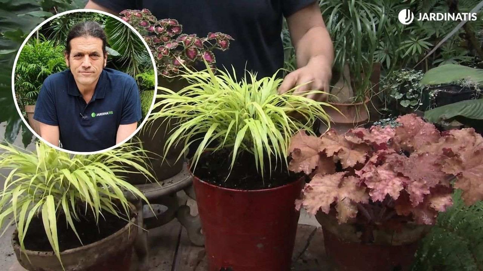 Anímate a probar con plantas menos conocidas.