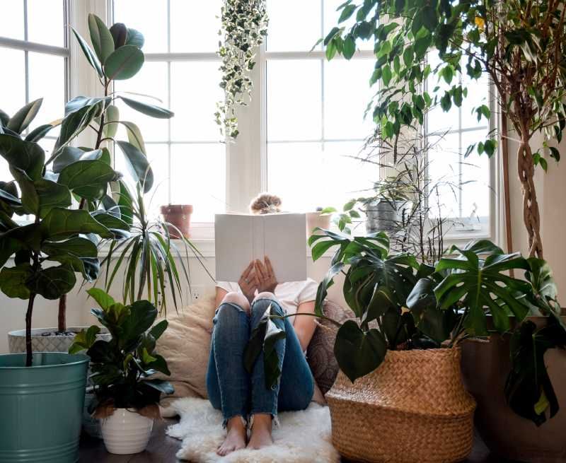Disfruta de un rincón de relax junto a tus plantas