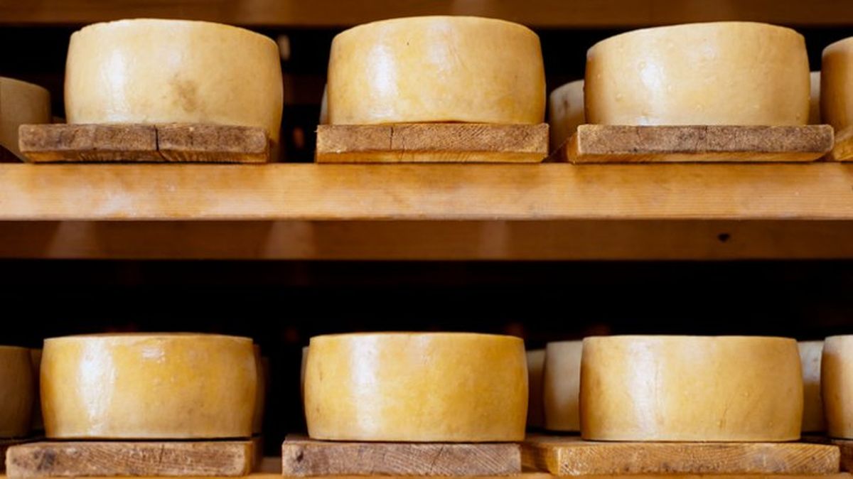 Queso de Pag, el más apreciado y premiado de Croacia