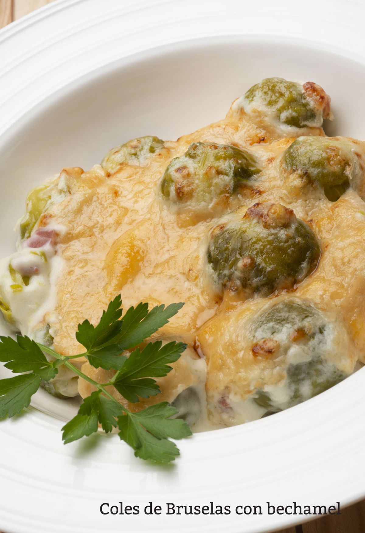 coles bruselas vertical