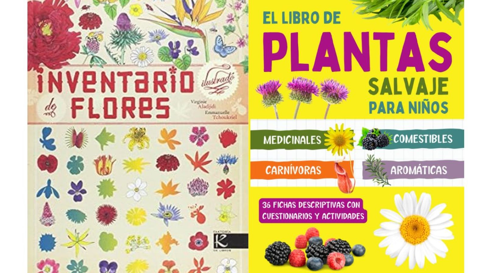 De izq. a drch.: Inventario ilustrado de flores y El libro de plantas salvaje para niños