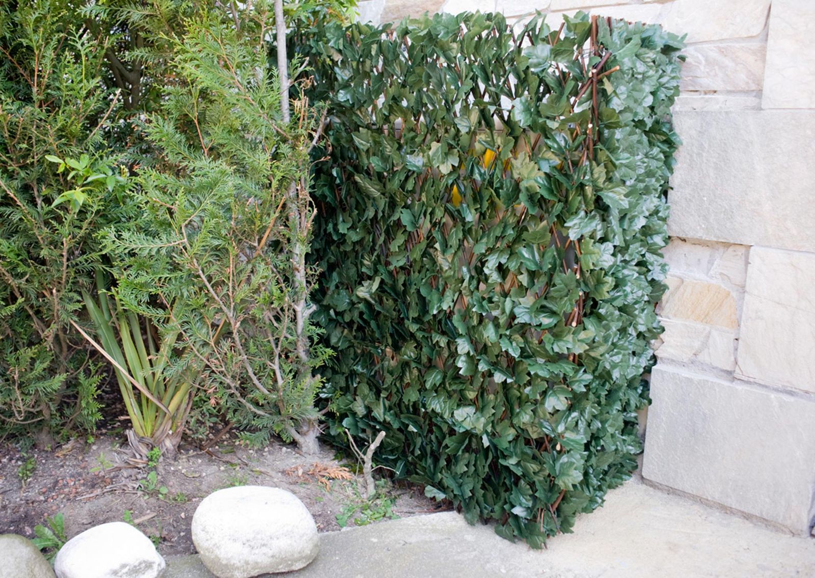 celosia extensible decorativa