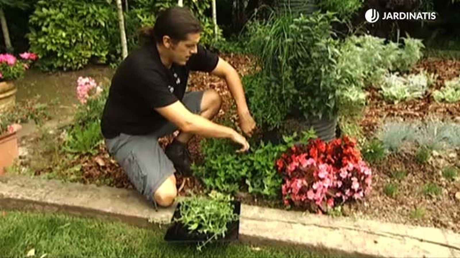 pinzar aromaticas jardin vertical brico 658 jardin