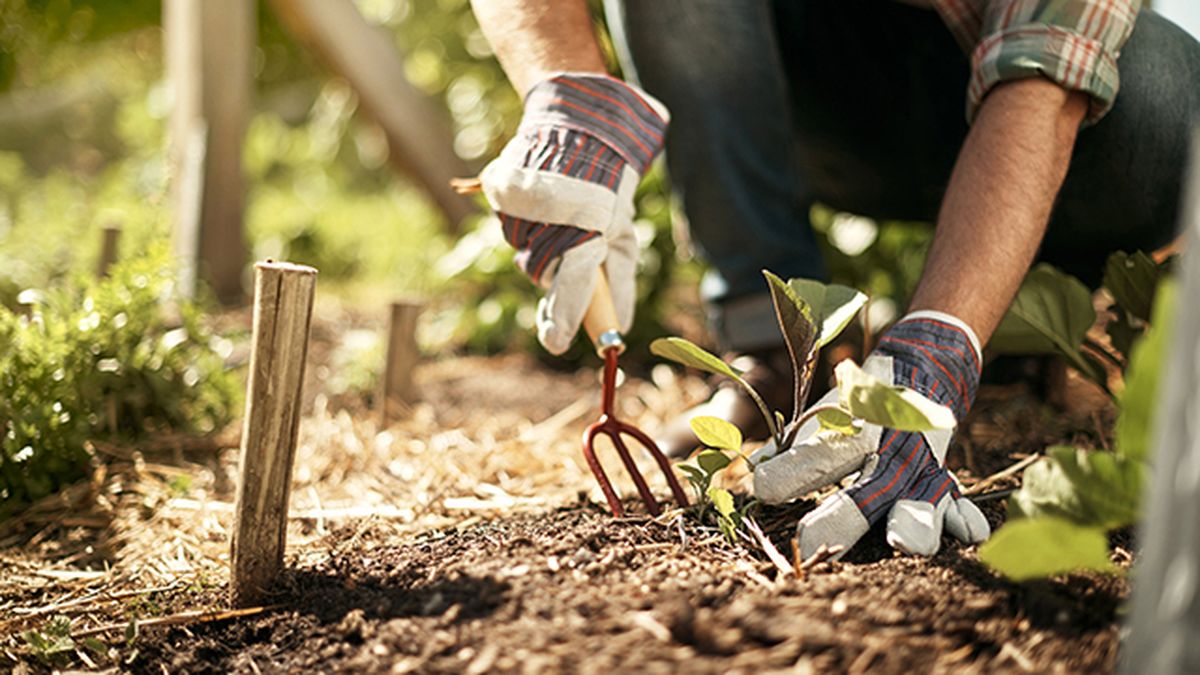 Unos guantes de calidad son un básico para todo aficionado a la jardinería