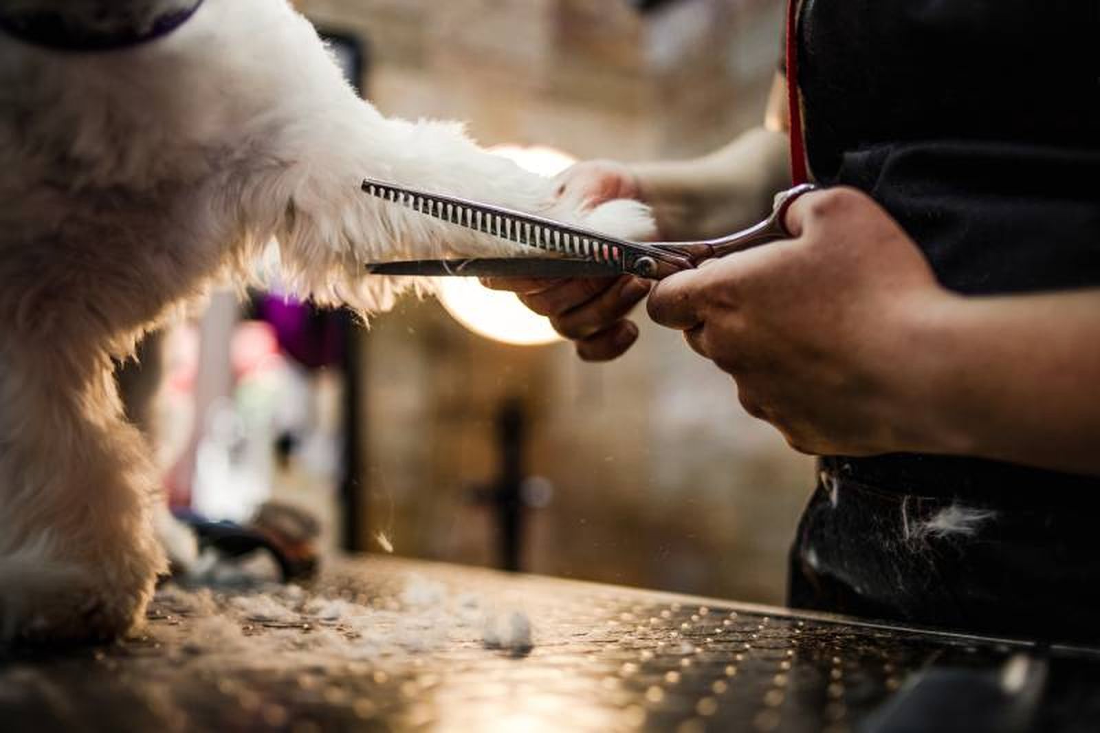 Todos coinciden en no rapar, sino cortar el pelo más corto para refrescar