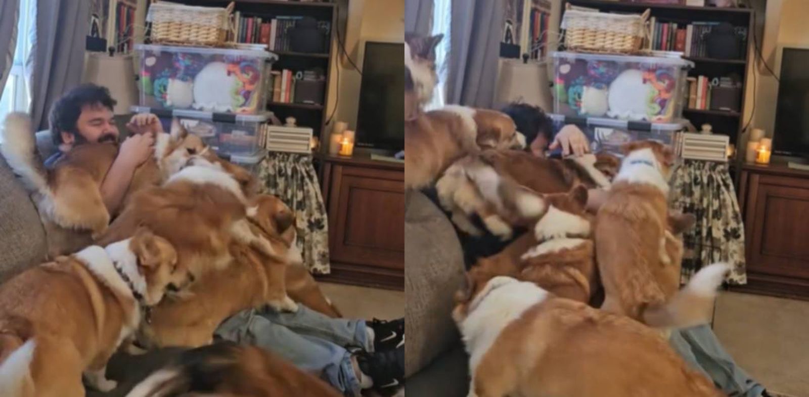 La publicación en cuestión ha recibido el nombre de Pila de corgis, llamando la atención de los usuarios