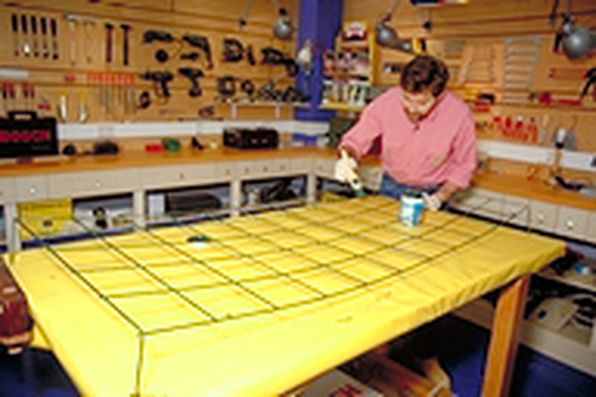 celosia enredaderas p5