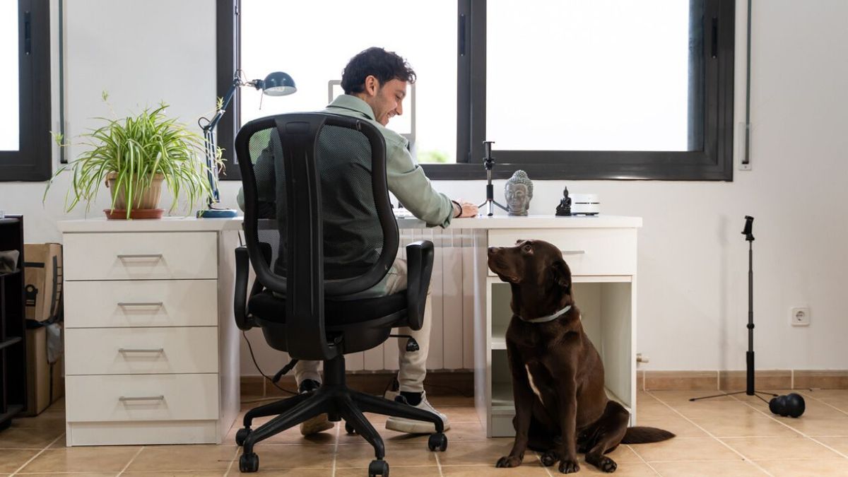 mejor sillas de oficina top 5