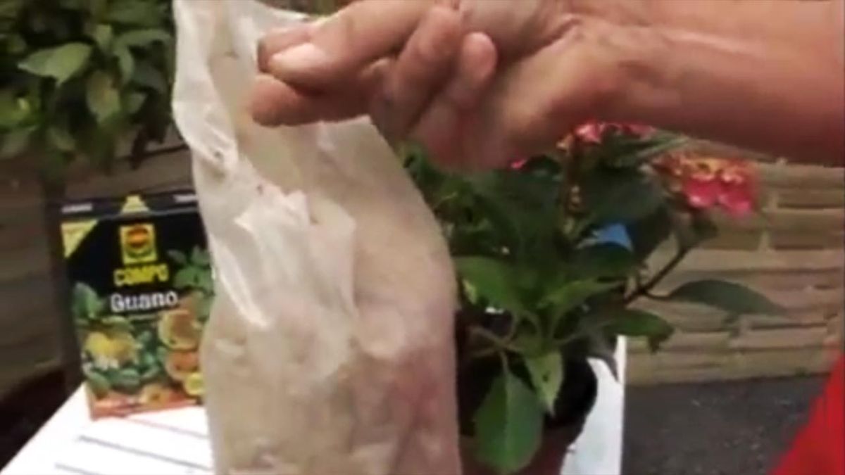 guano usos beneficios