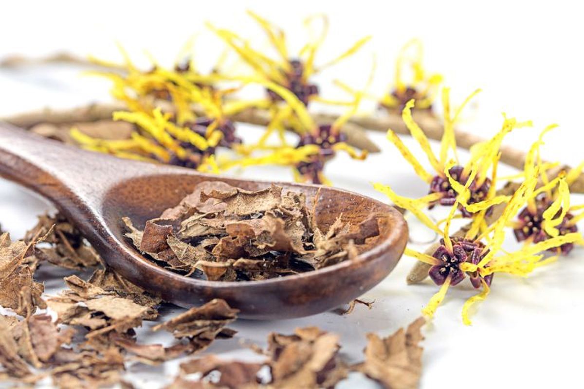 El hamamelis tiene diferentes usos