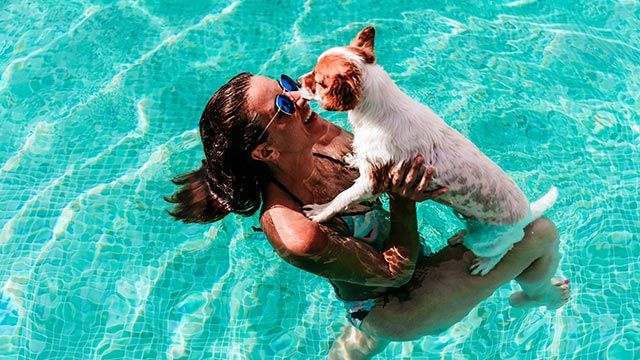 planes perros verano 1 piscina