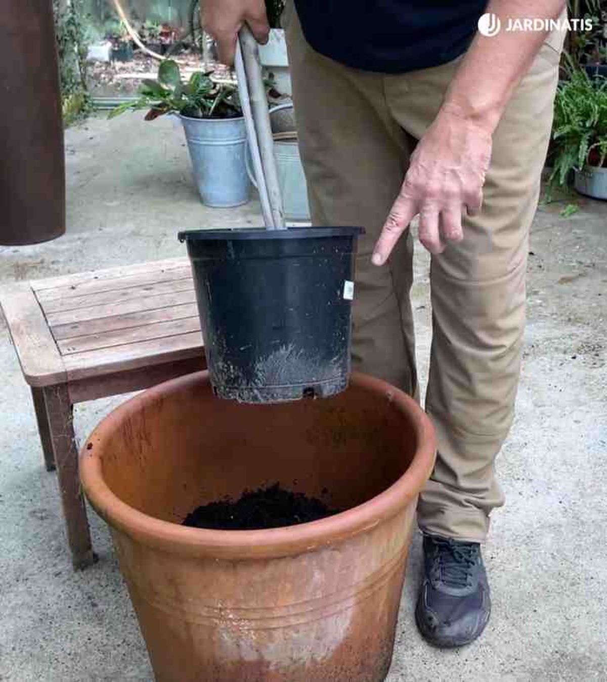 maceta de barro para plantar olivo