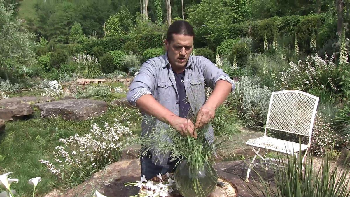 deco 738 jardineria watsonia composicion gramineas