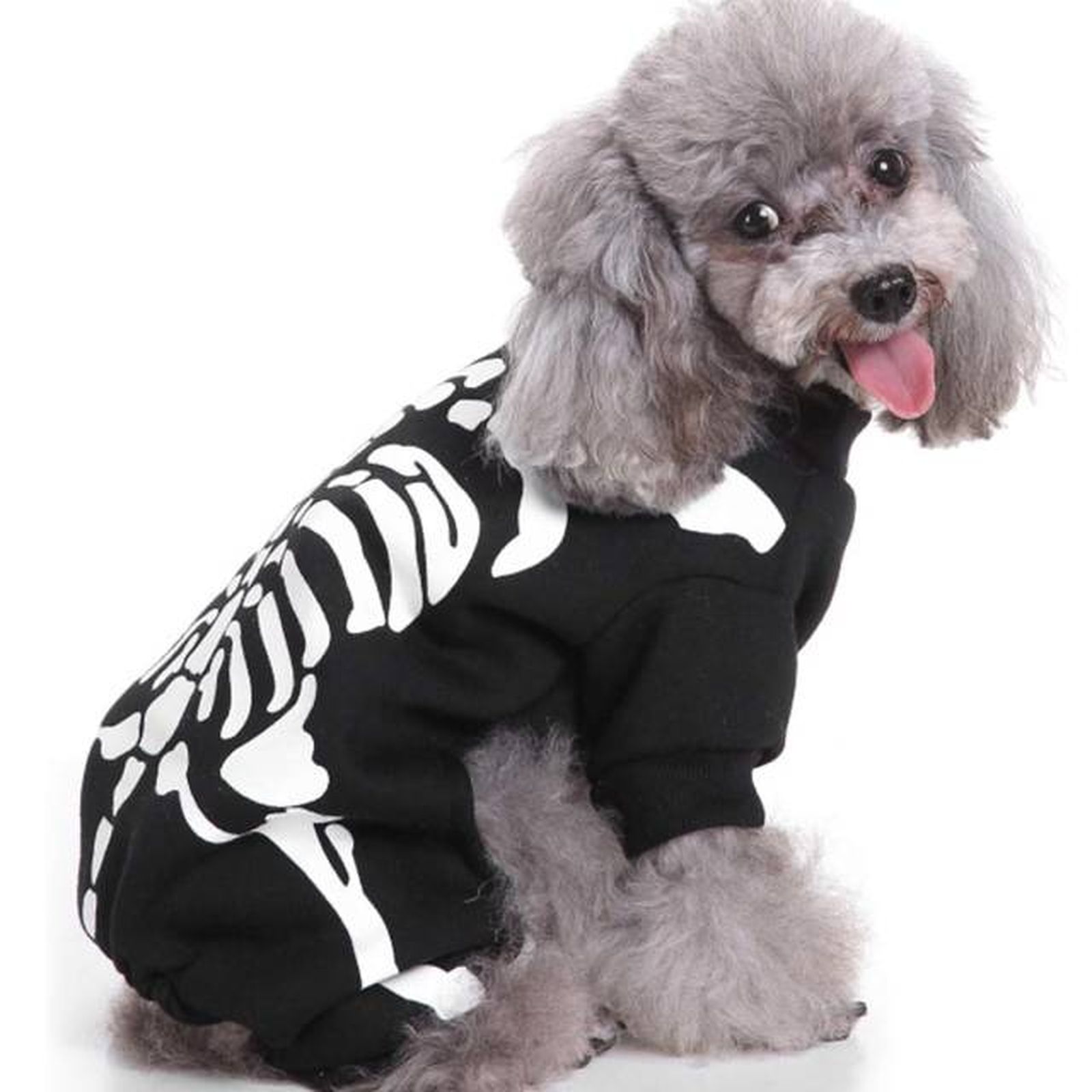 prendas ropa mascotas halloween 6