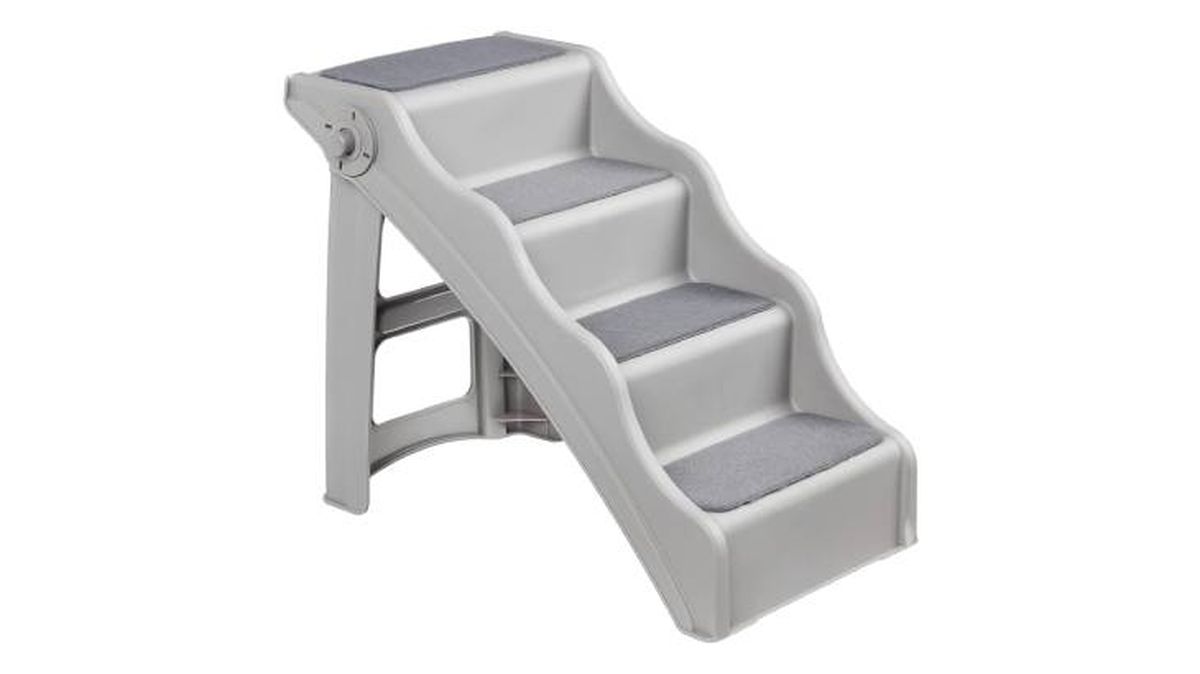 escaleras perros amazon basics