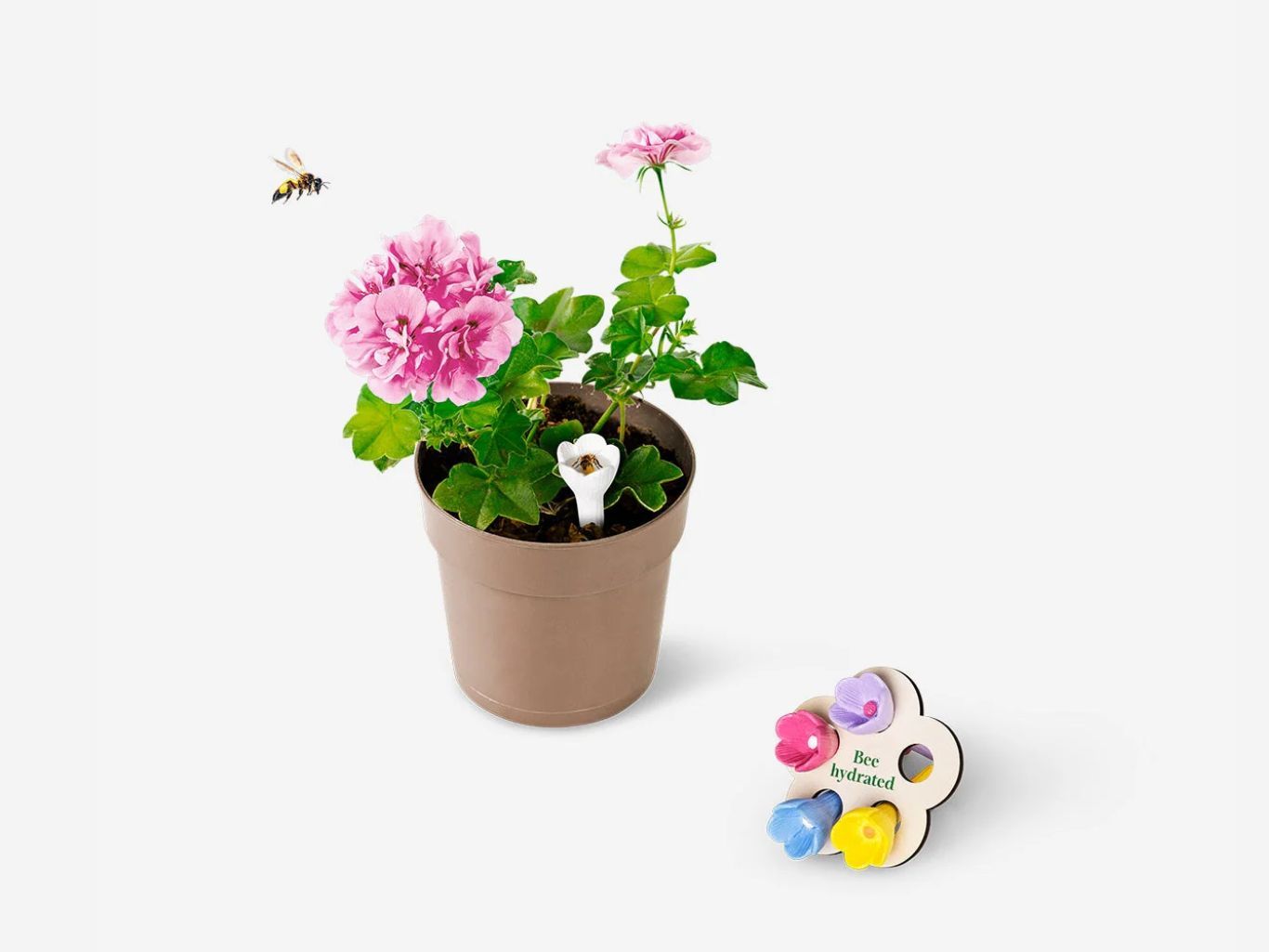 Tazas para abejas