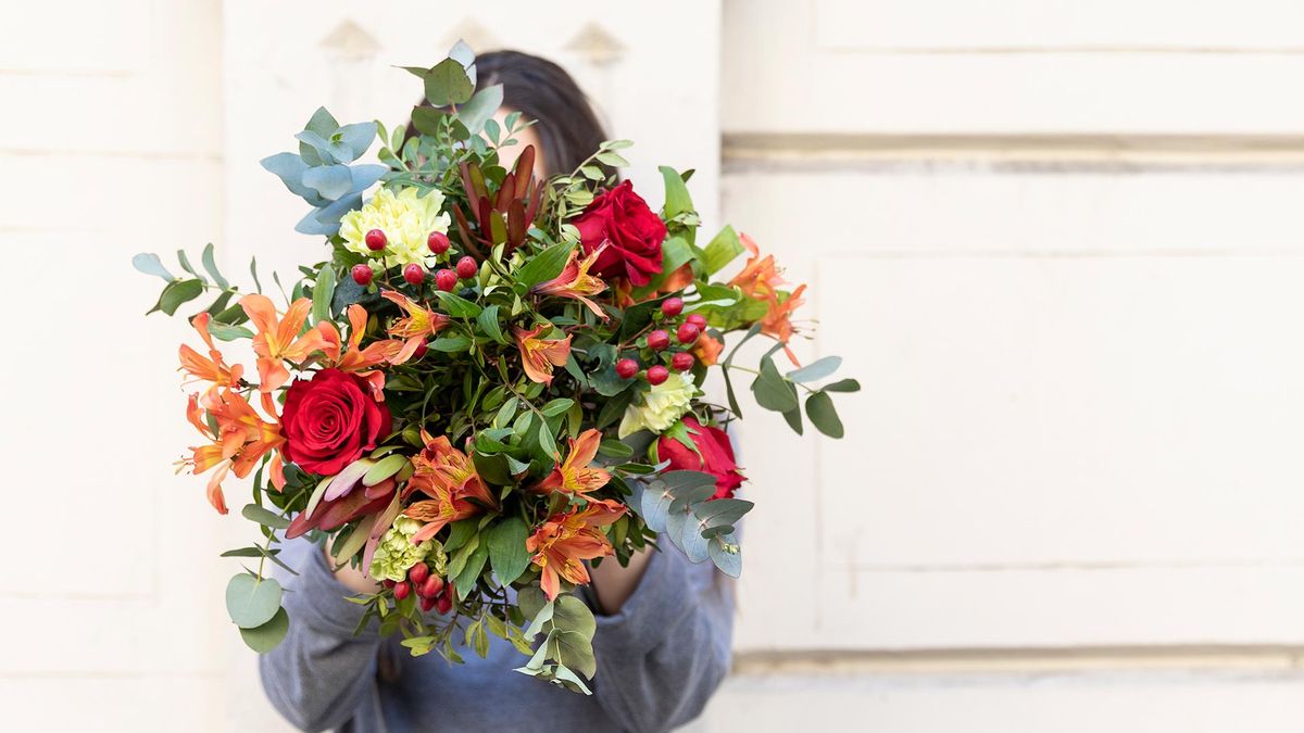 ramos flores colvin casa