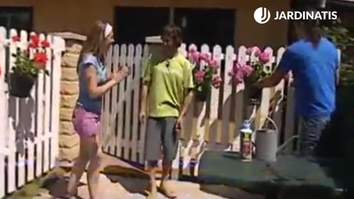 plantacion de distintas variedades de geranios en pared brico