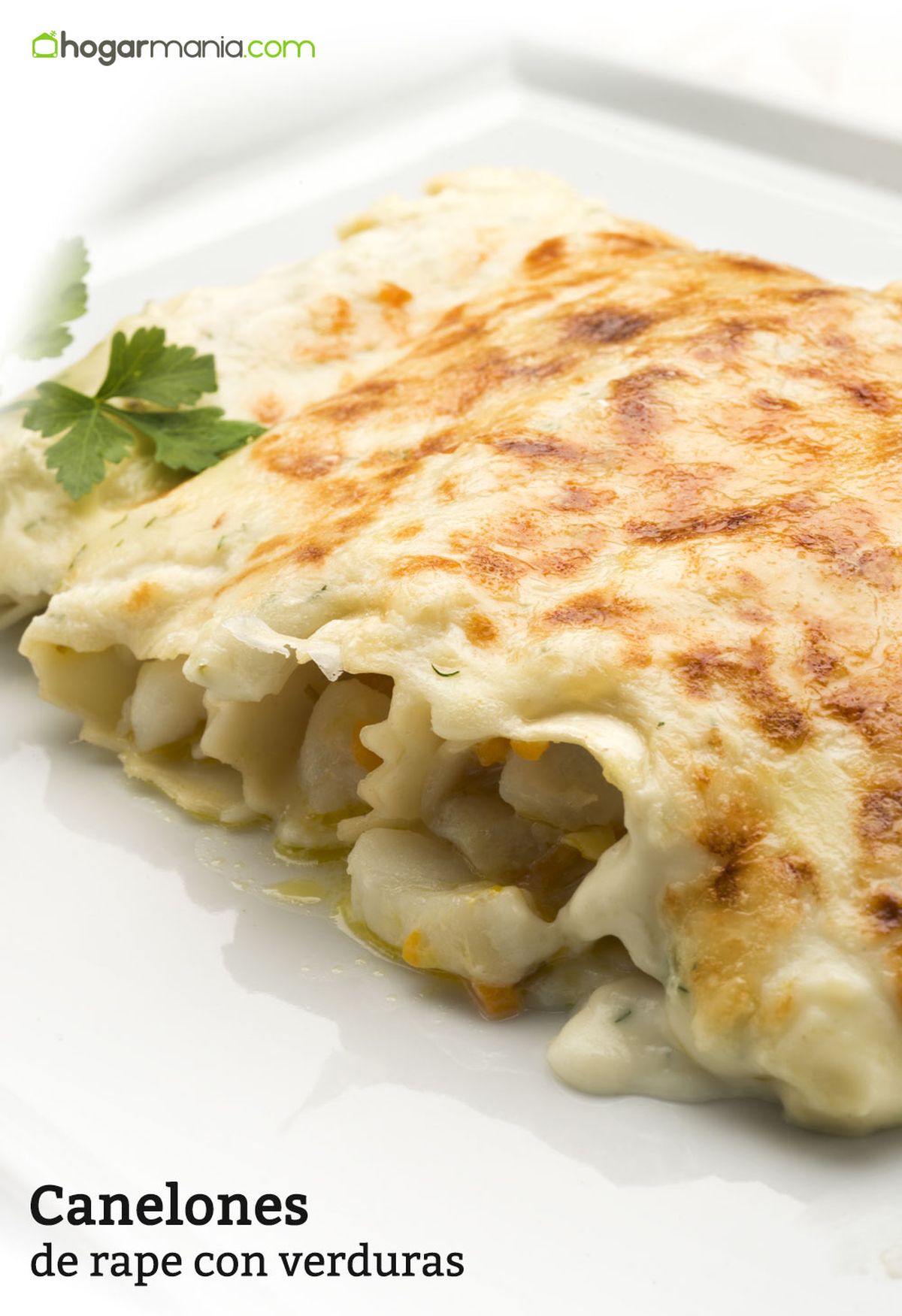 6048 1 Canelones de rape con verduras vertical xl