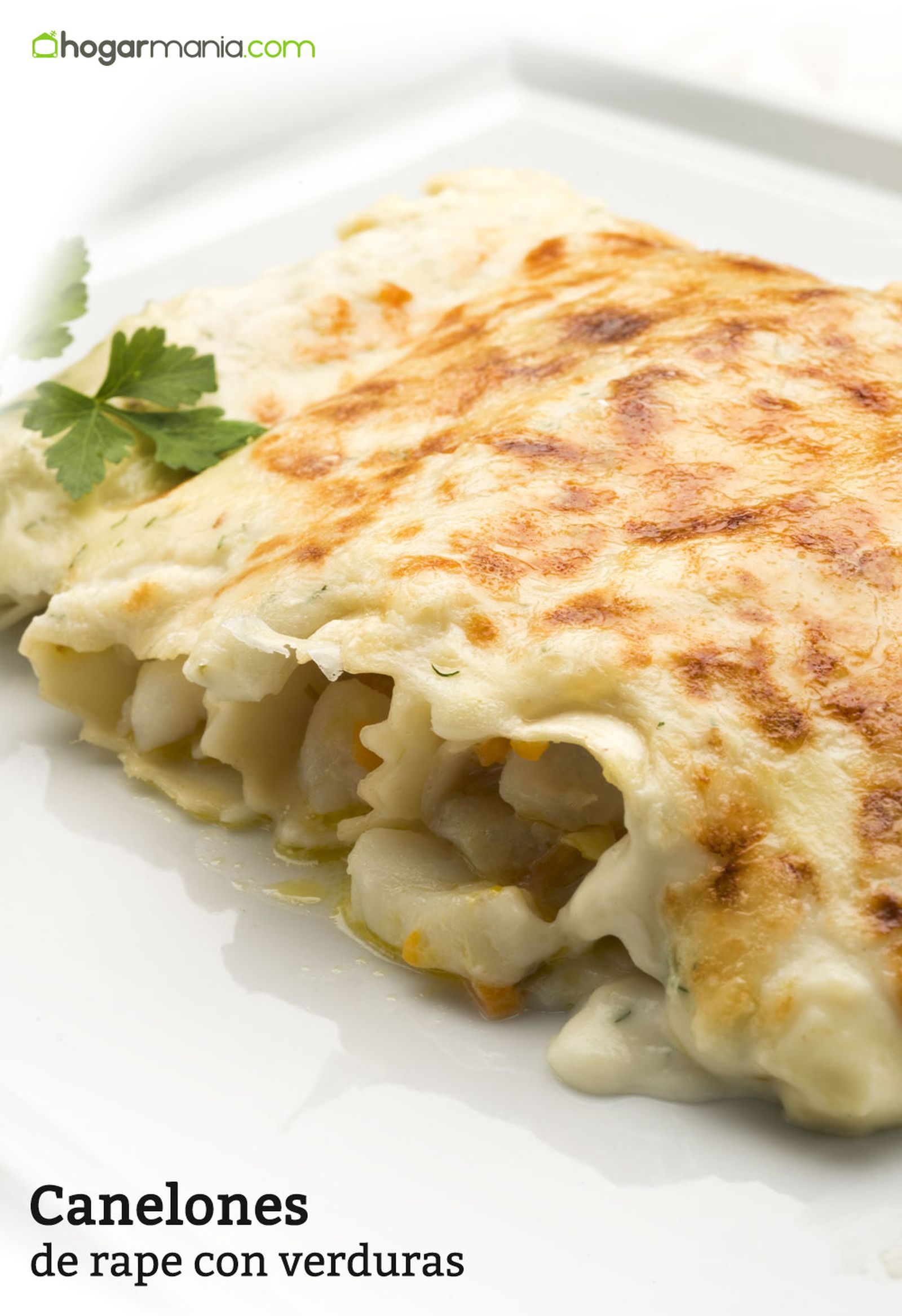 6048 1 Canelones de rape con verduras vertical xl