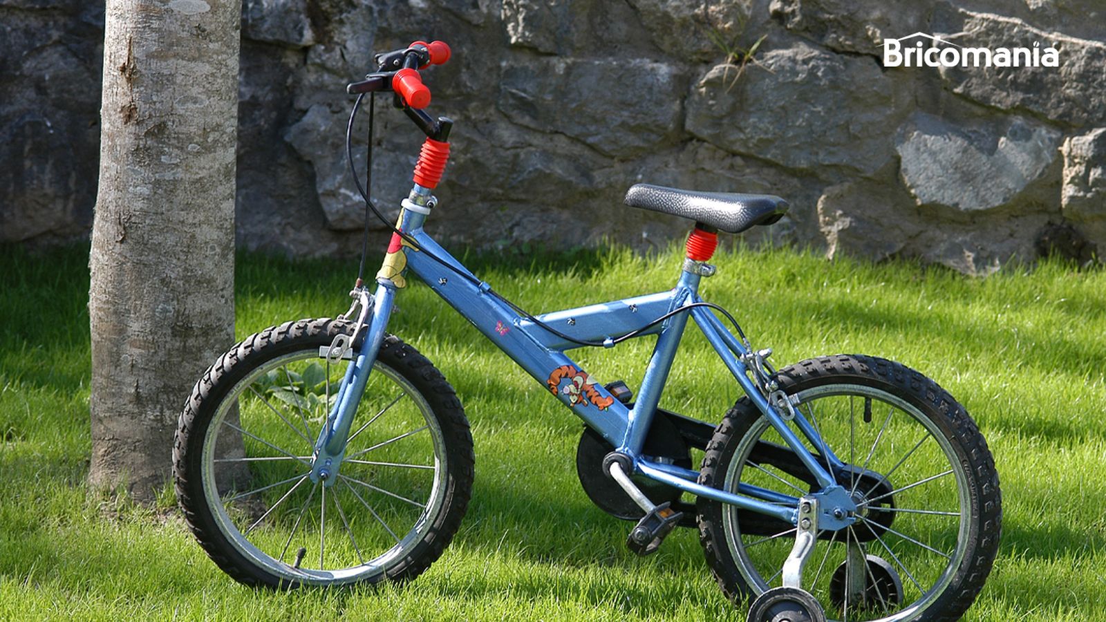 brico 0370 2 pintar bicicleta xl