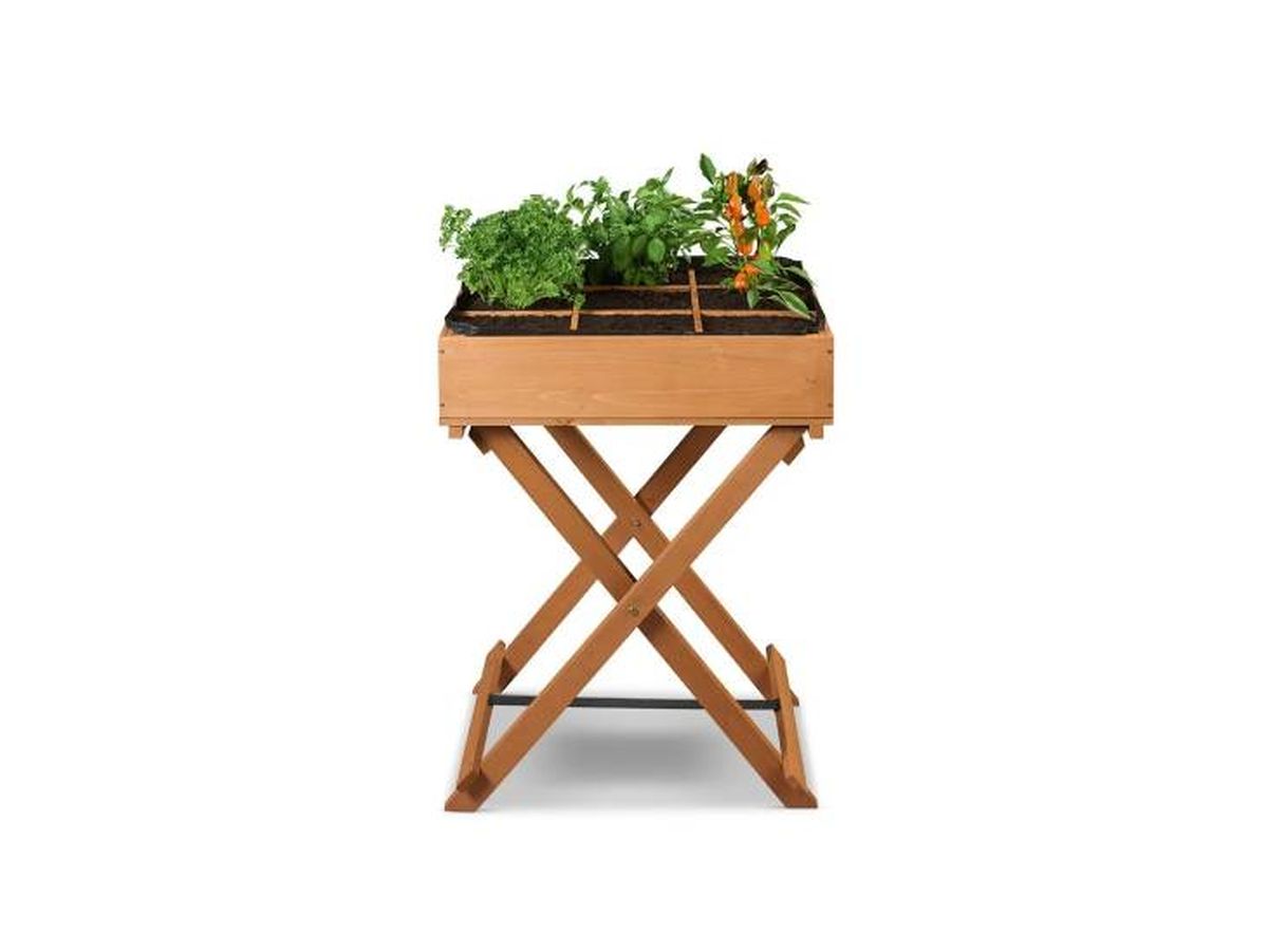 arriate hierbas aromaticas lidl