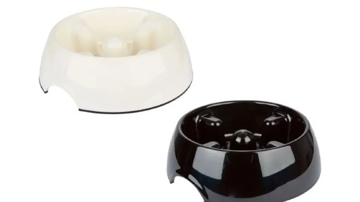 comederos para perros modelo 6