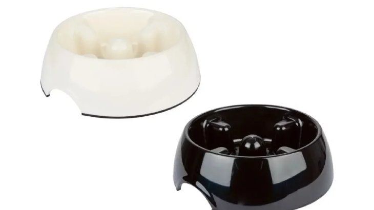comederos para perros modelo 6