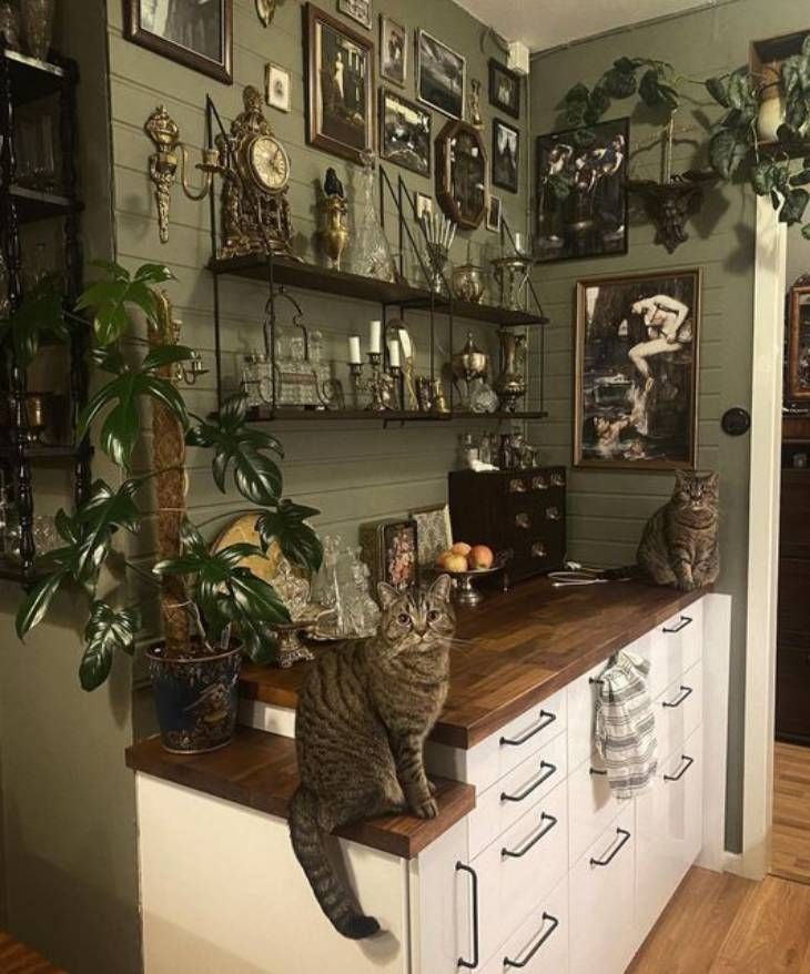 cocina dark academia pinterest