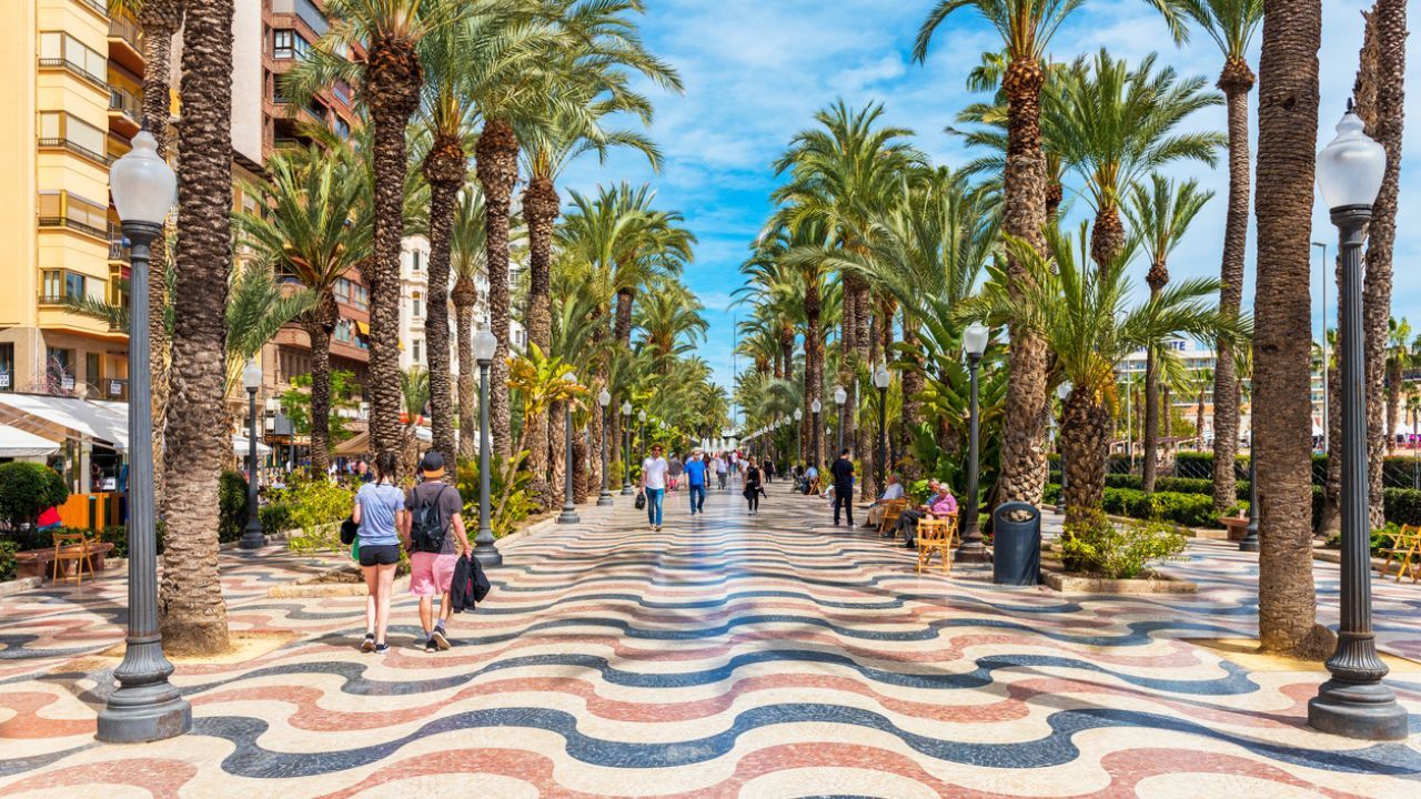 palmeras en un paseo