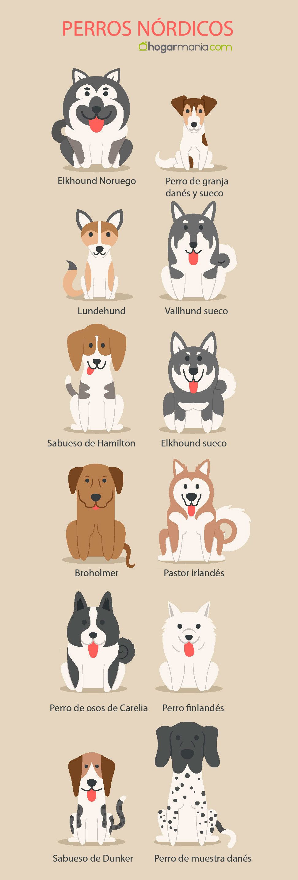 razas perros nordicos