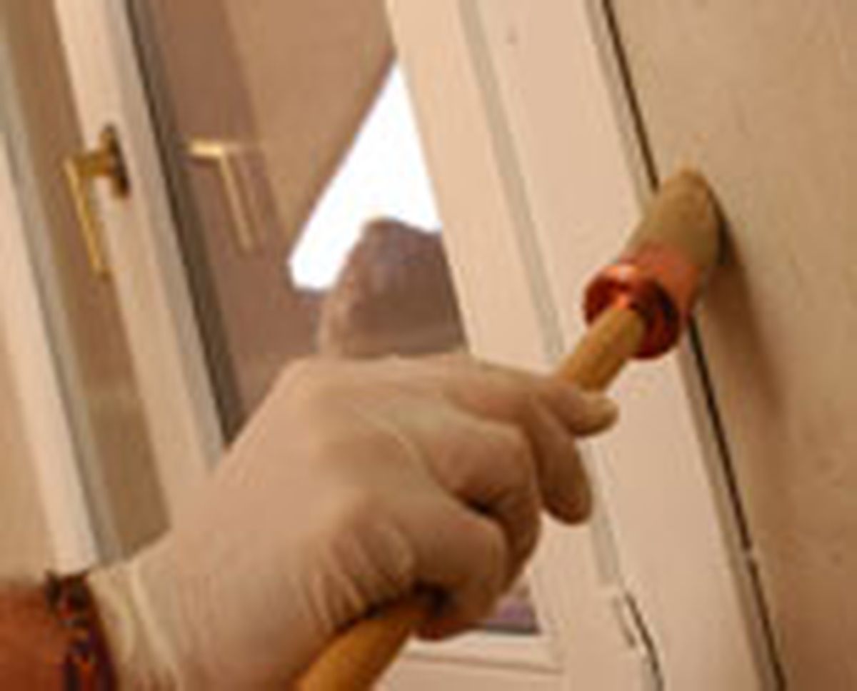 364 pint habit infantil p07