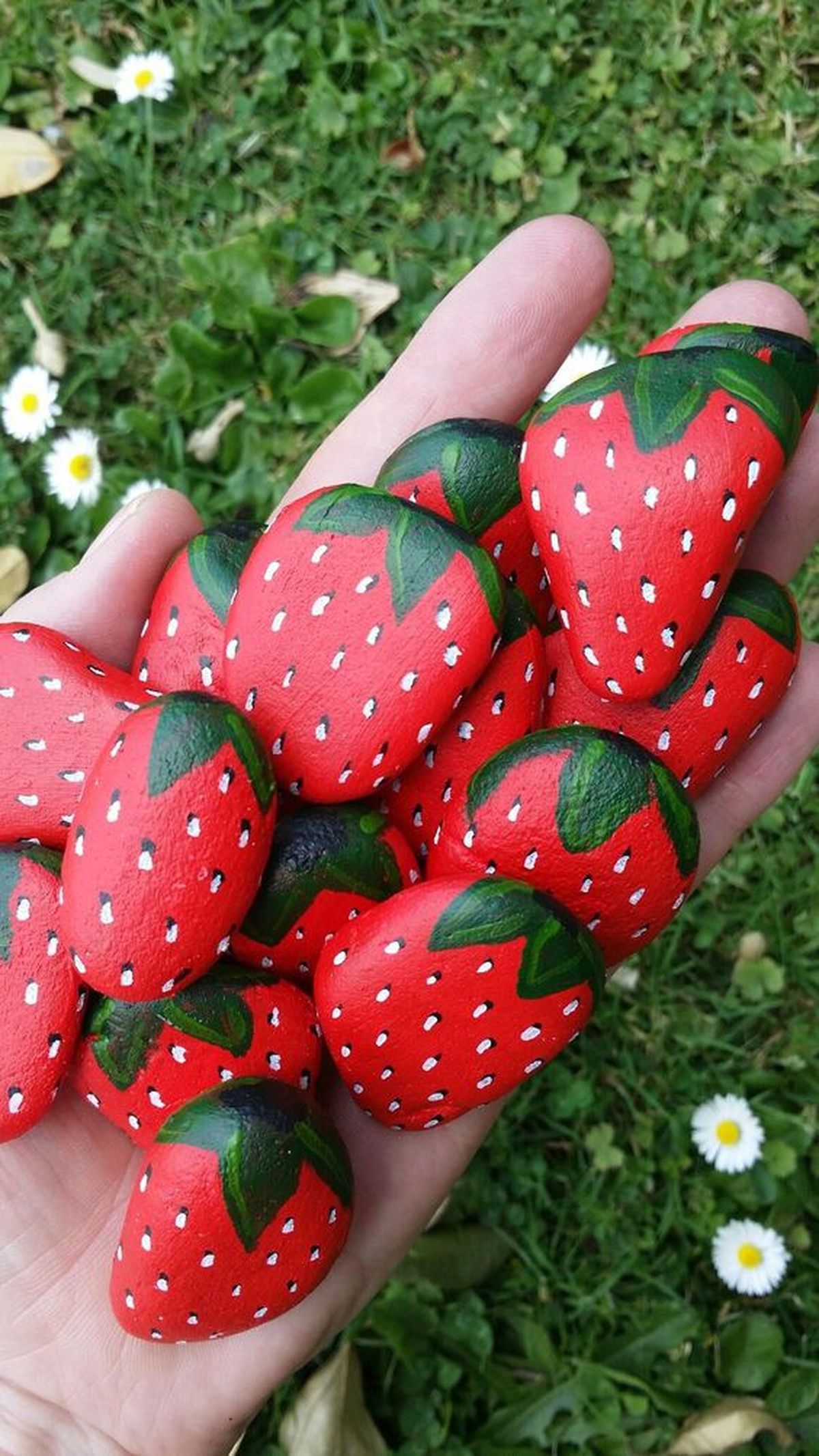 piedras pintadas jardin fresas pinterest youtube Poornima Hegde